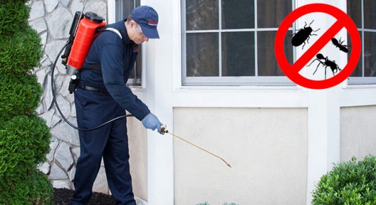 Erfelek Tahtakurusu İlaçlama böcek ilaçlama ve haşere kontrolü — ilaclama-tr.com